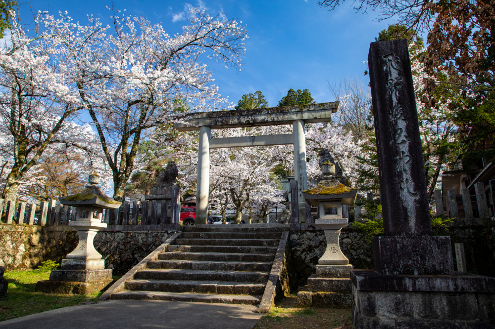 飛騨護国神社（春）3