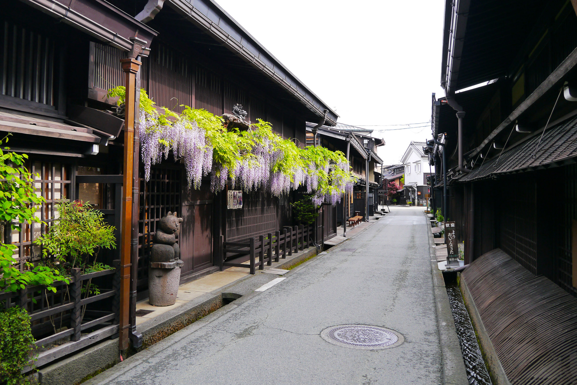 高山市街地エリア			