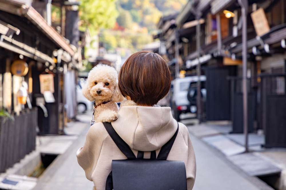 ペットとめぐる飛騨高山〜愛犬と一緒に過ごせる施設や宿情報も掲載〜