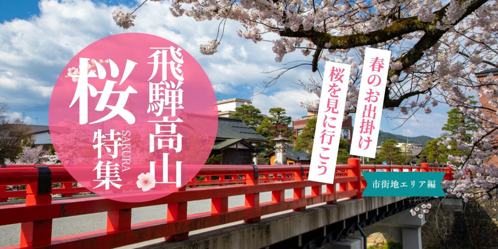 飛騨高山の桜(市街地エリア)