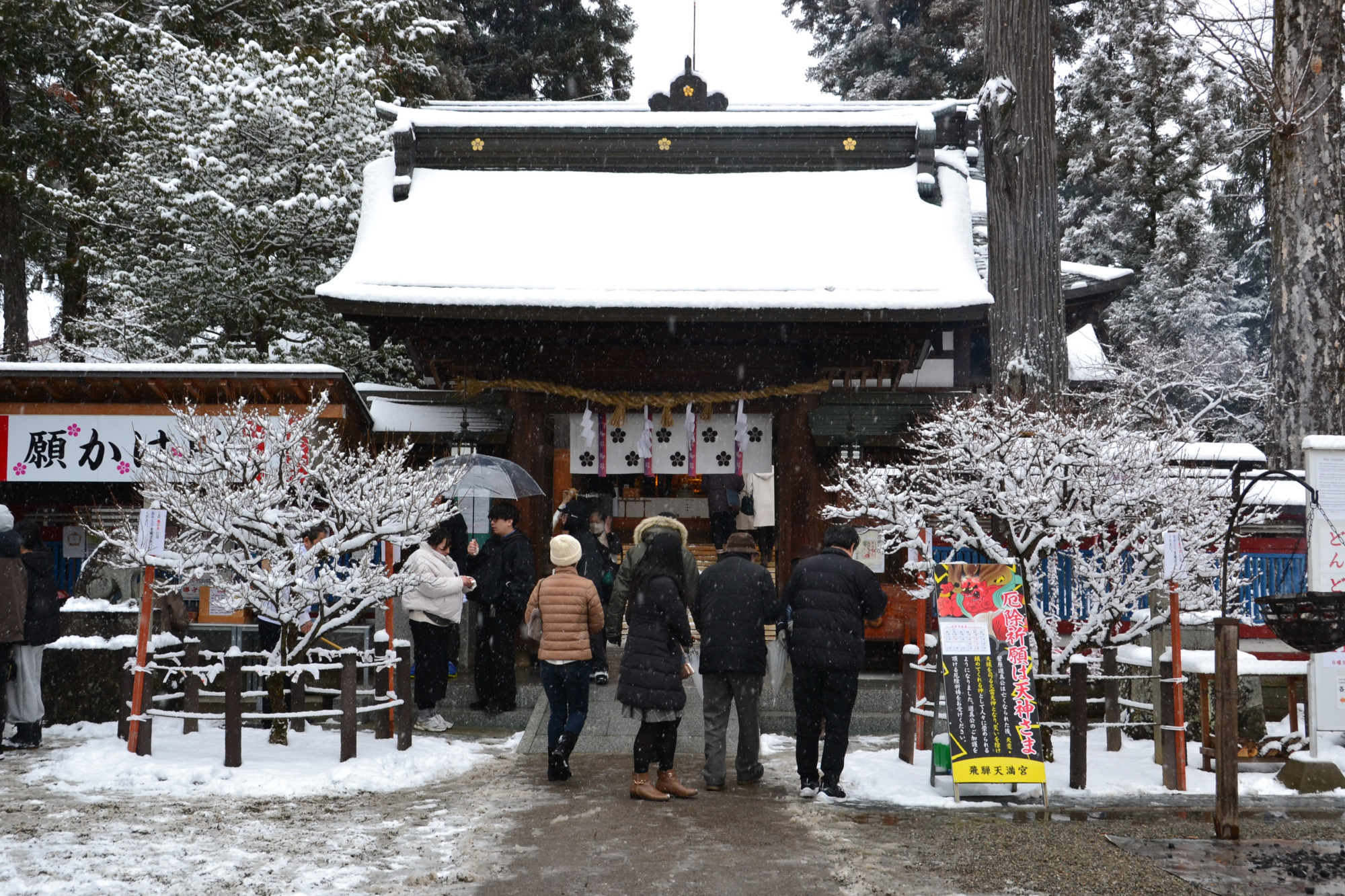 飛騨高山の初詣「神社仏閣特集」