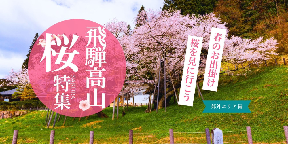 飛騨高山の桜(郊外エリア)