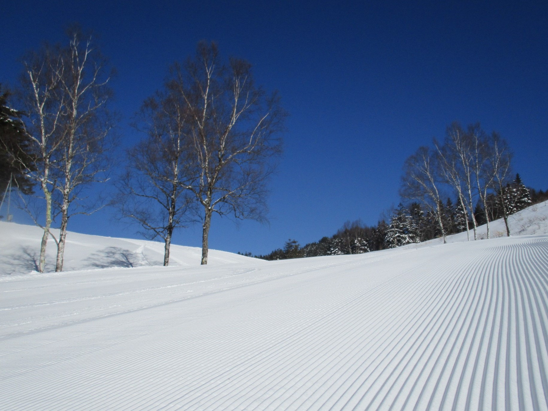 飛騨高山スキー場 ゲレンデガイド