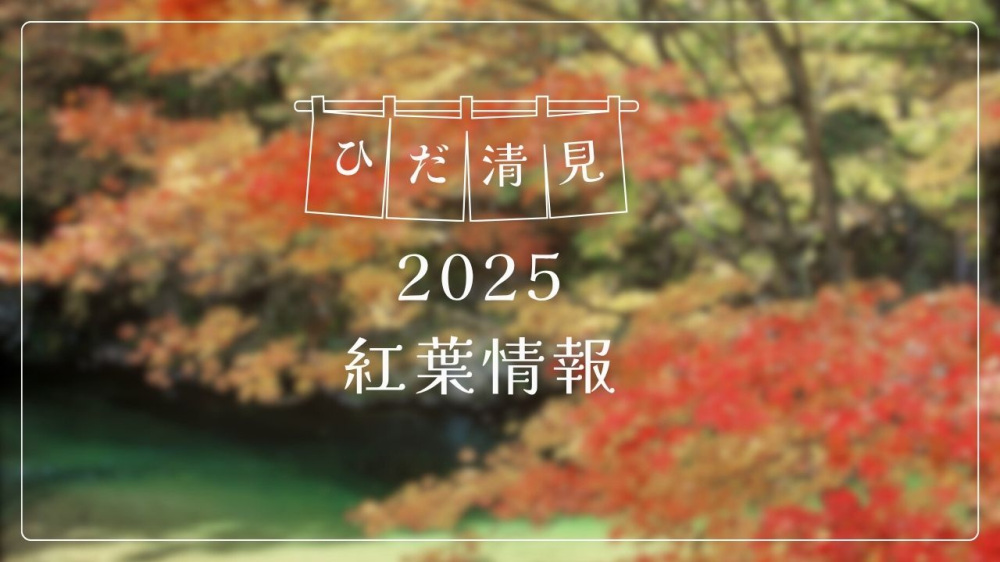 2025ひだ清見紅葉情報