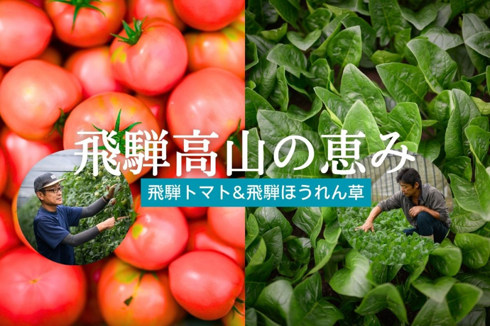 【永久保存版】清らかな水と空気が育てる、飛騨の作物たち 飛騨トマト&飛騨ほうれん草
