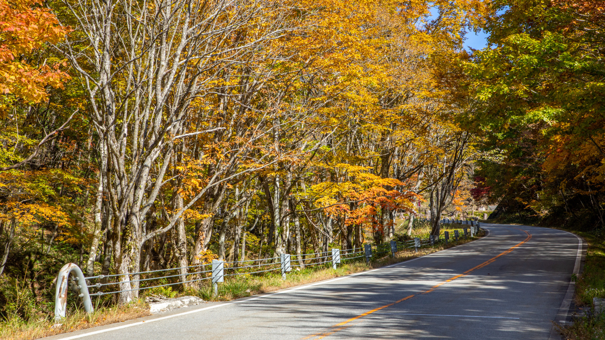 ひだ清見の歩き方