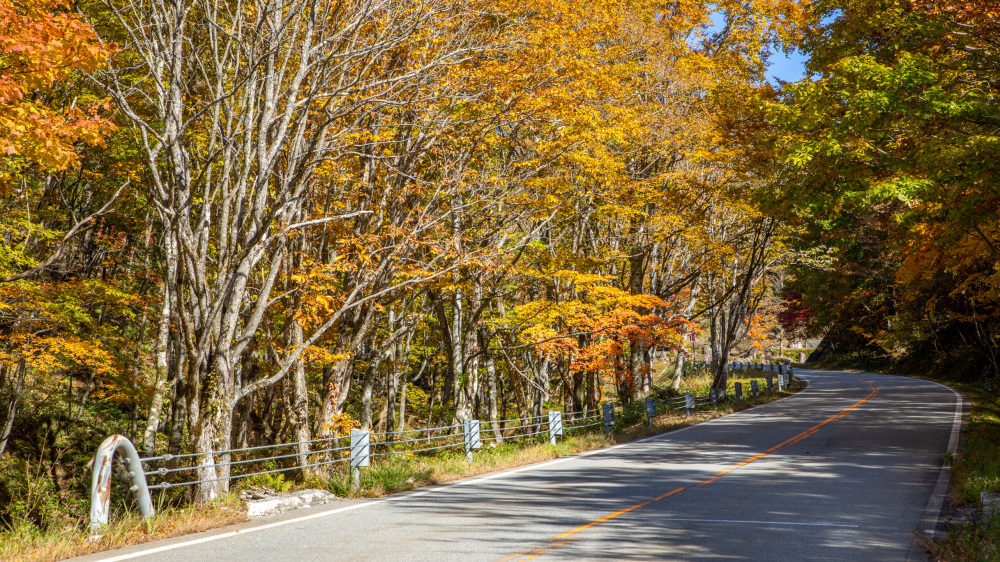 ひだ清見の歩き方