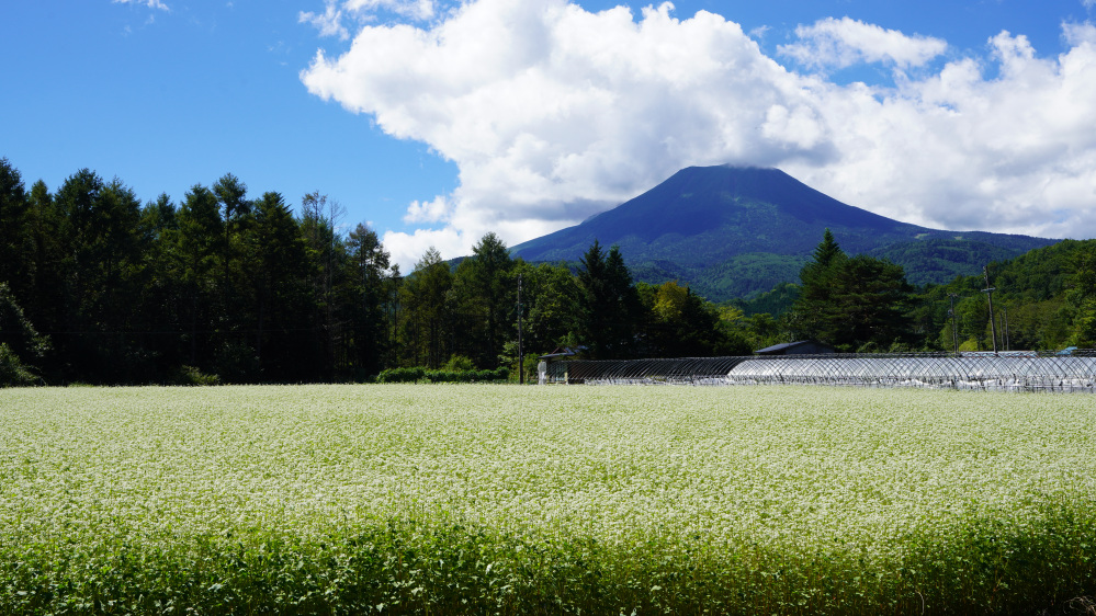 【3分で分かる】飛騨高根へようこそ