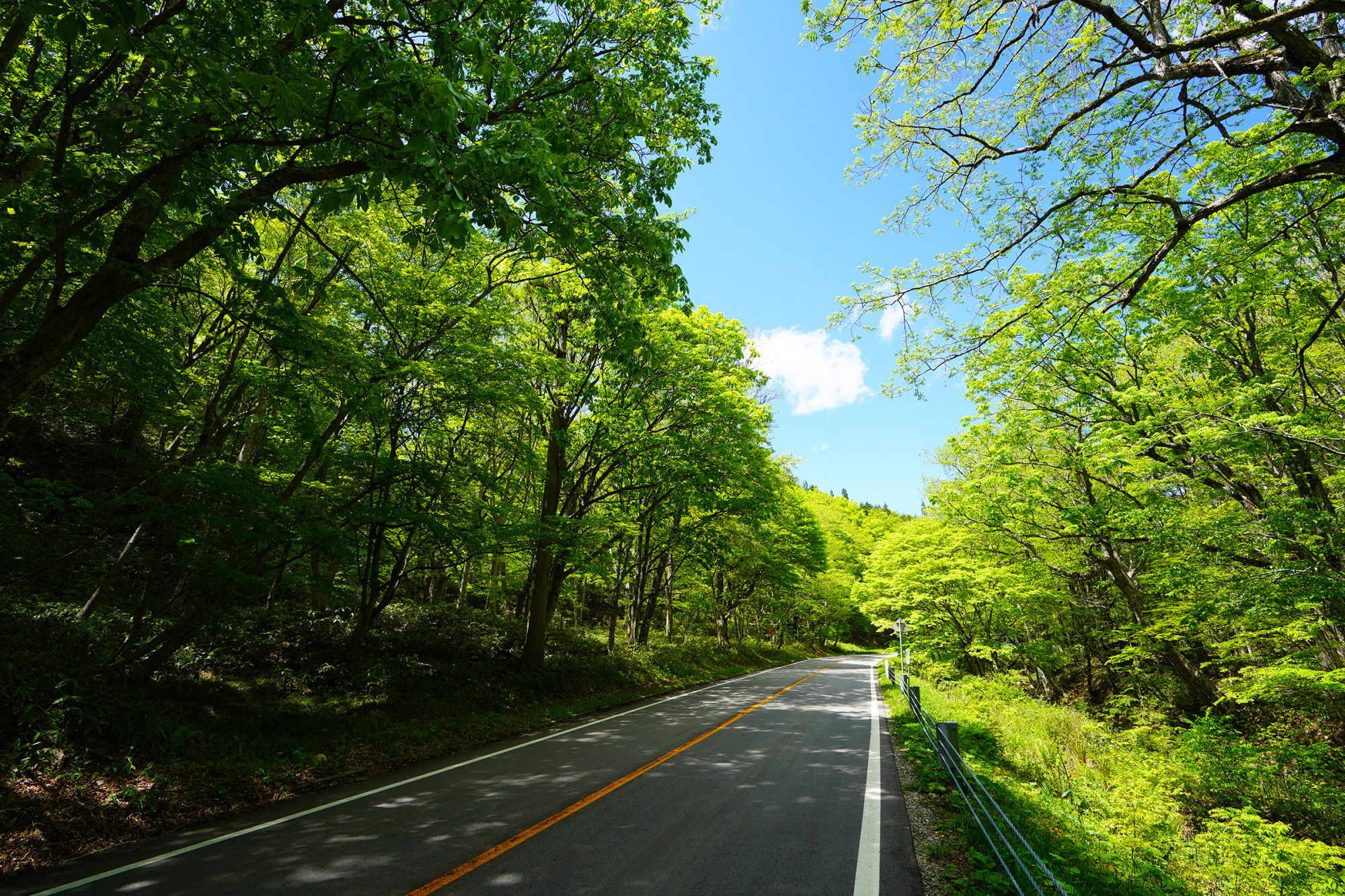 飛騨・美濃せせらぎ街道（初夏）