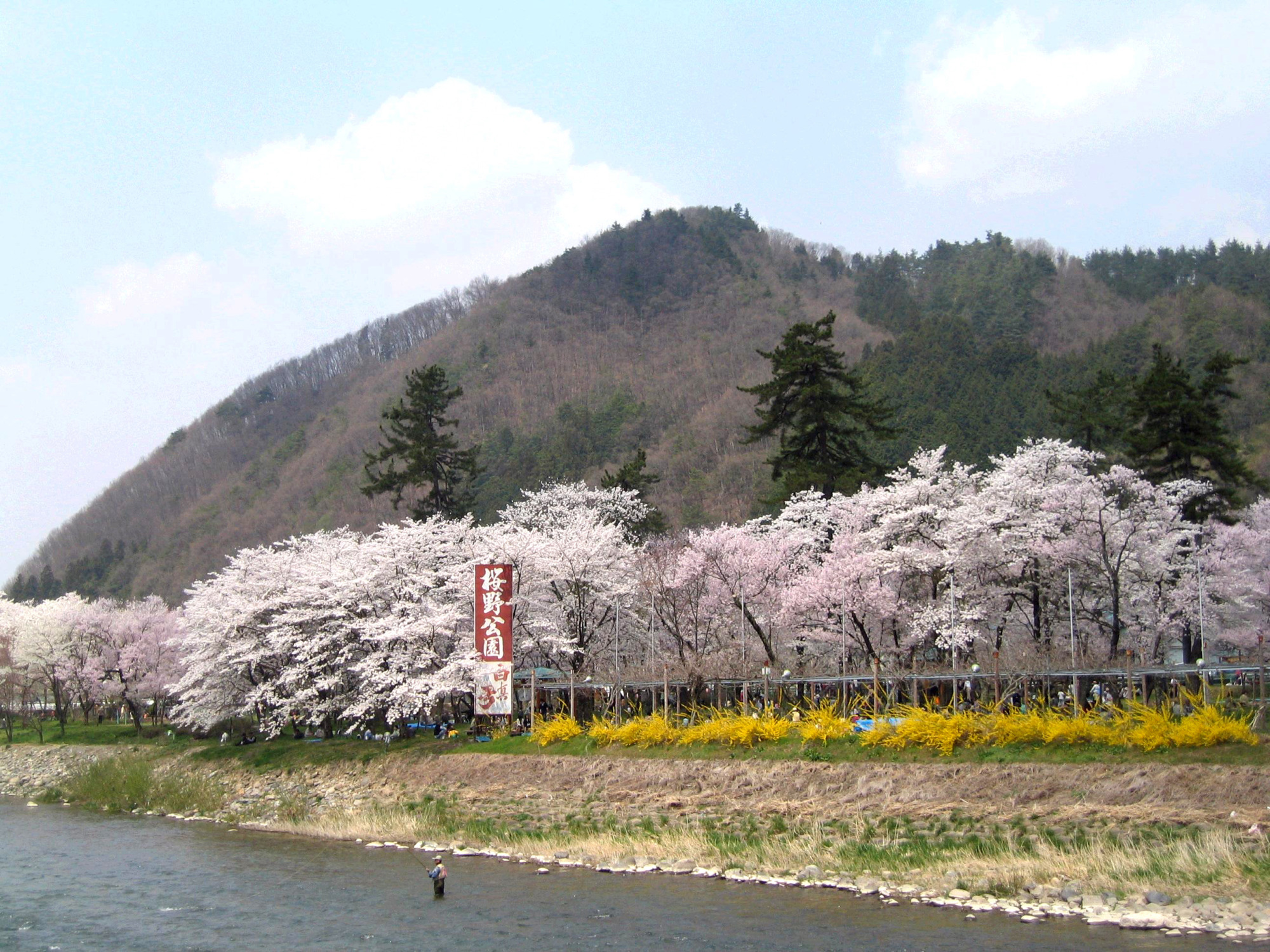 桜野公園