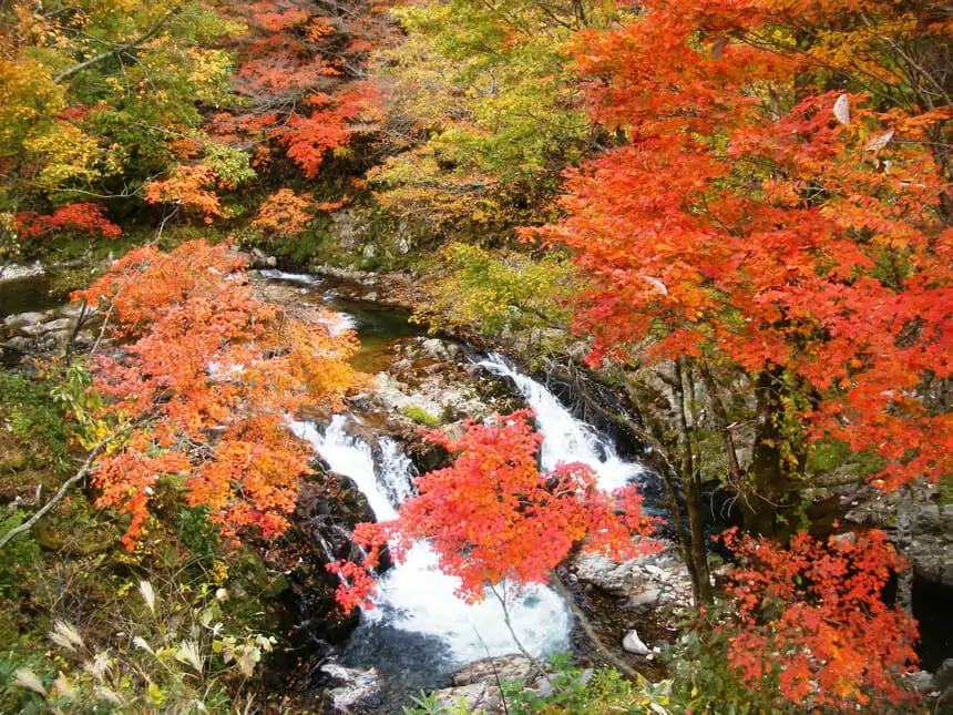 御手洗川（金山の滝）