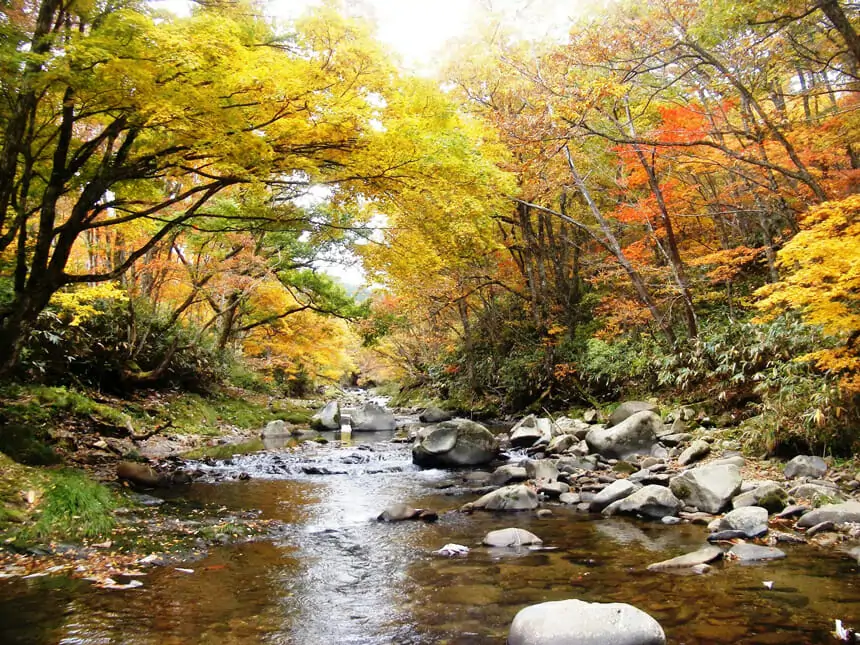 御手洗川