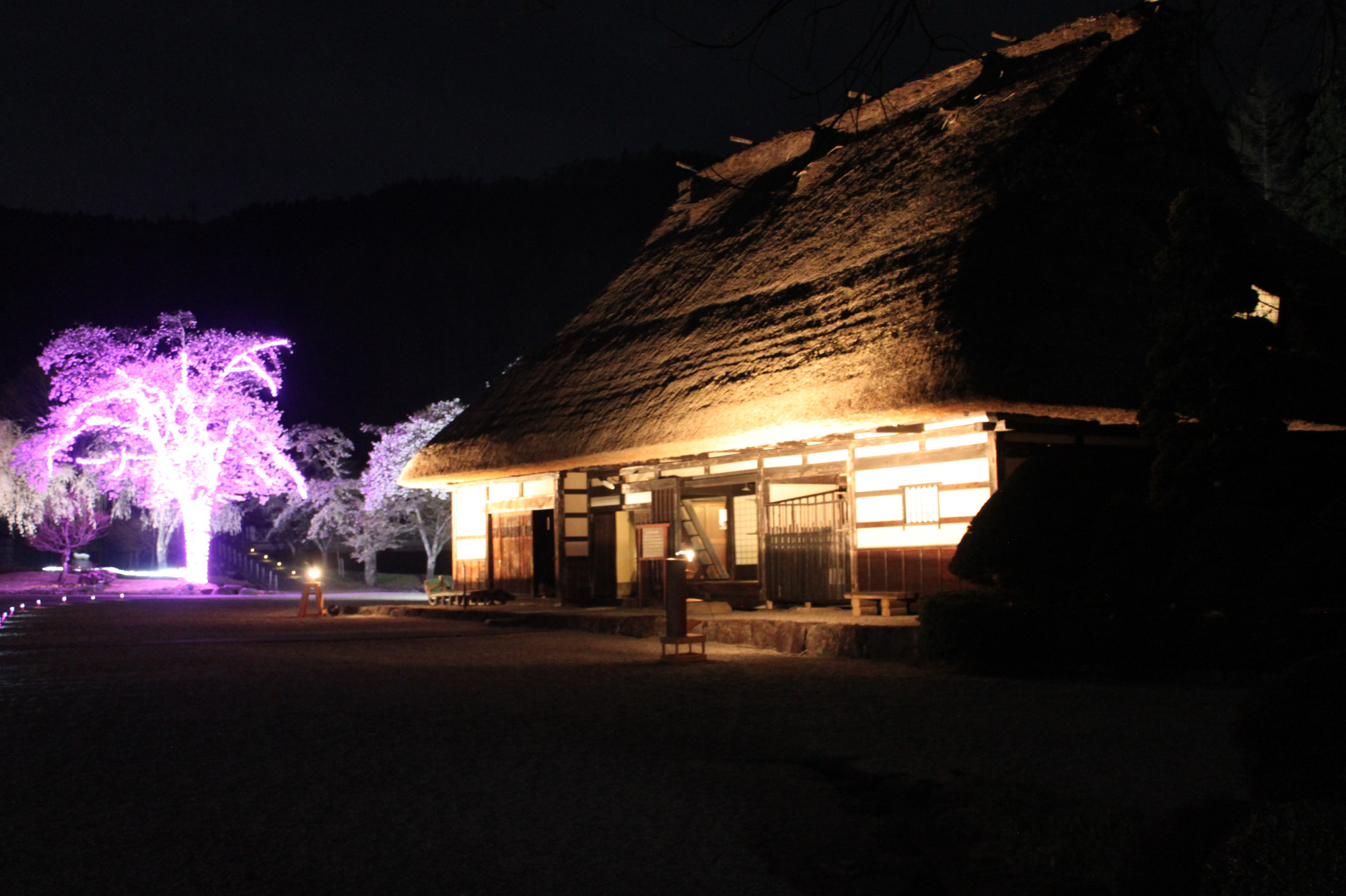 荘川の里イルミネーション