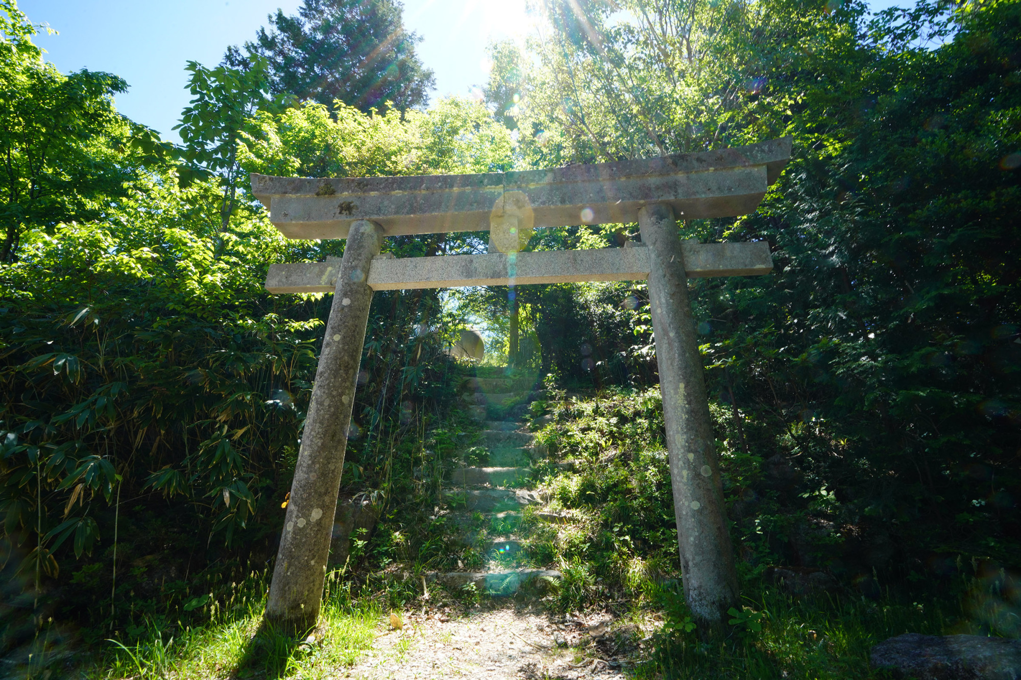 ダナ平林道登山口（位山登山口）