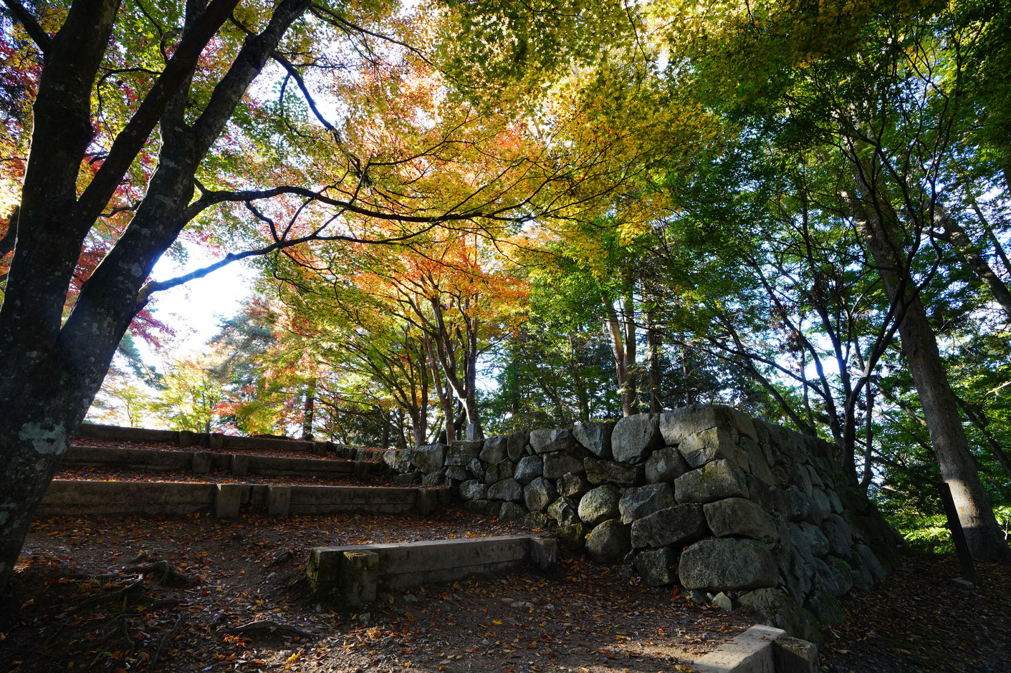 高山城跡