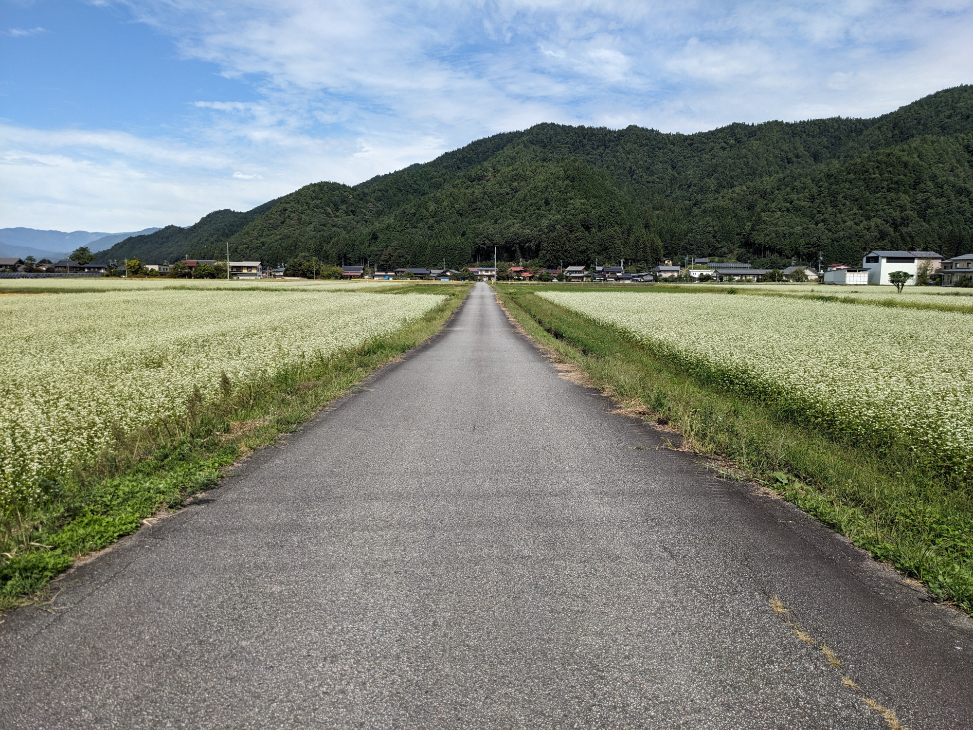 気持ち良い風景を眺めながらサイクリング