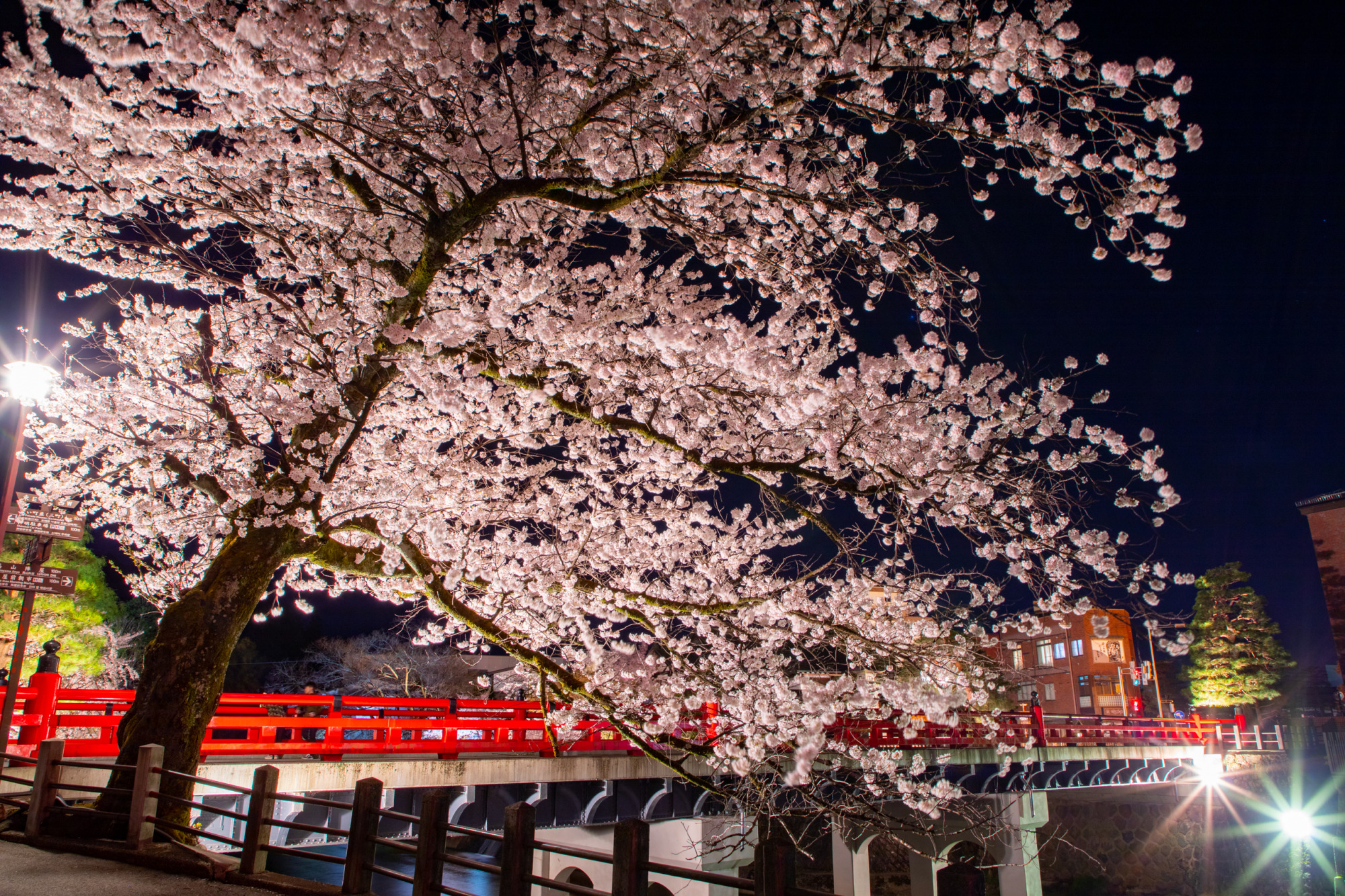 中橋