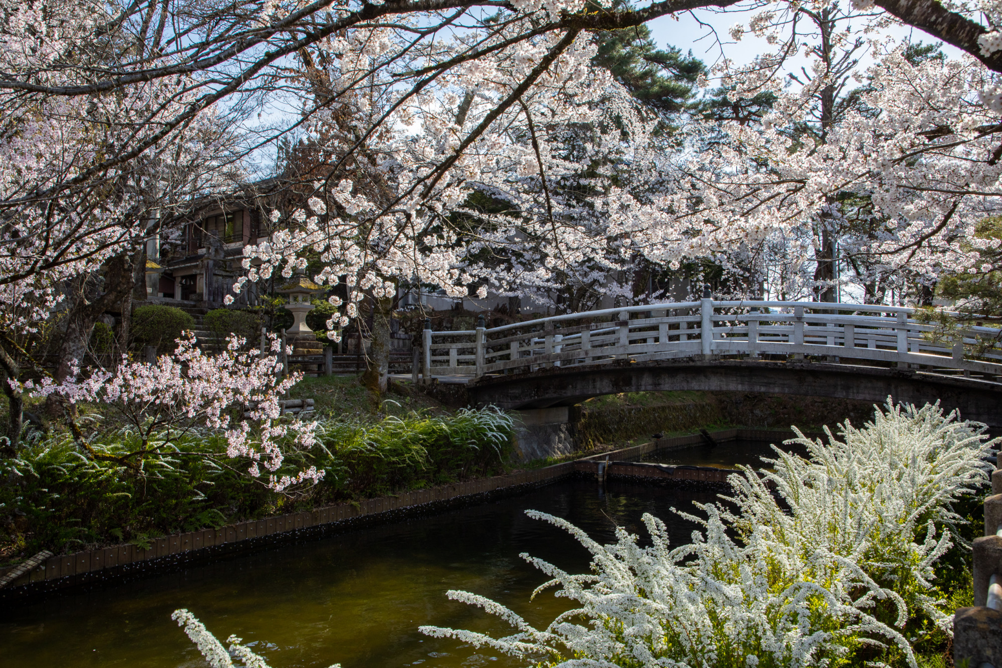 飛騨護国神社