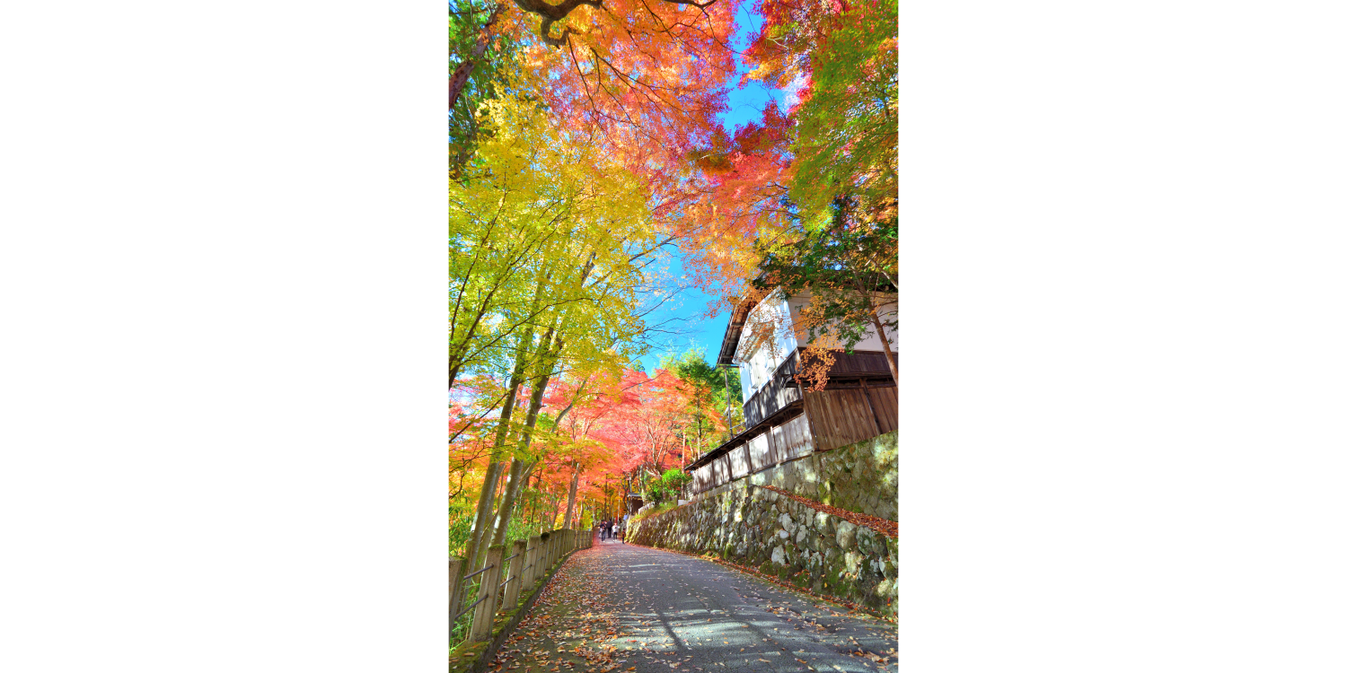 撮影地：日枝神社
