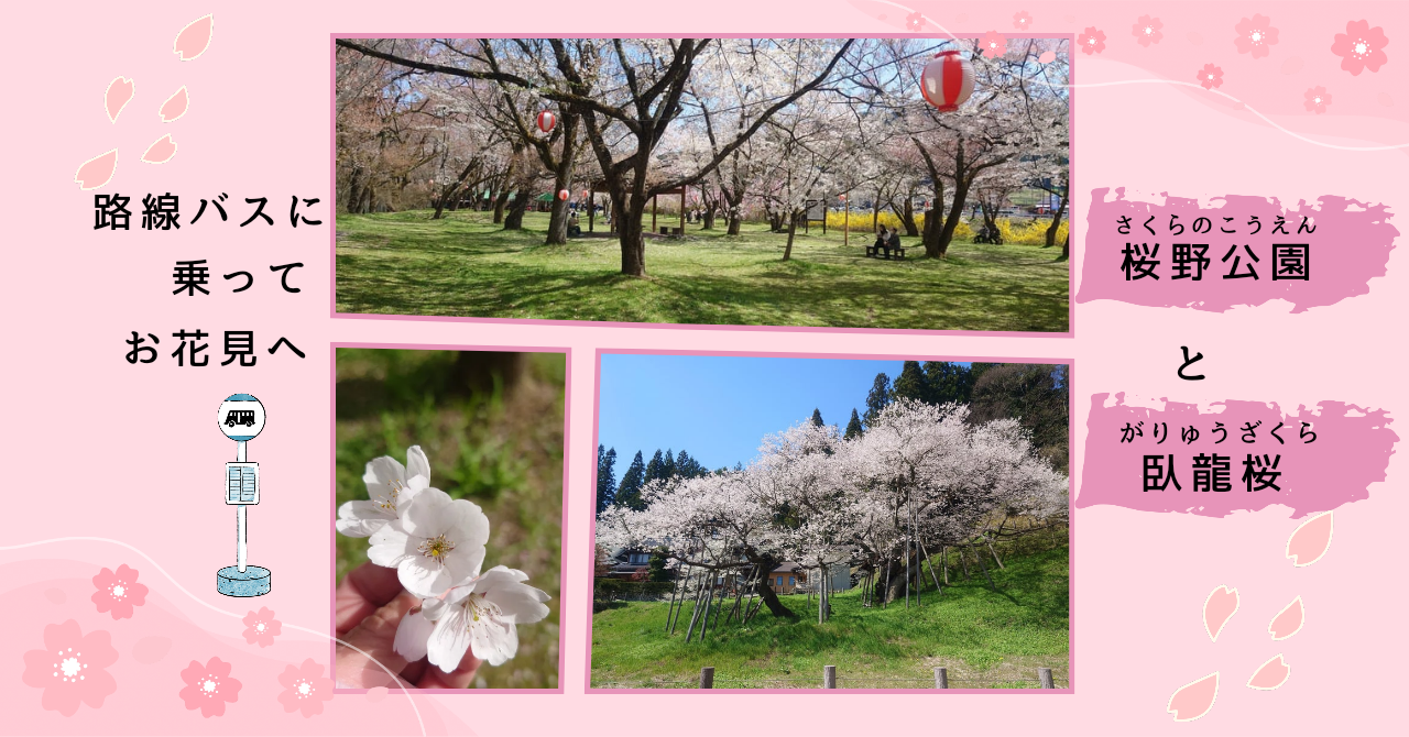 路線バスで行く飛騨高山の桜めぐり・桜野公園と臥龍桜