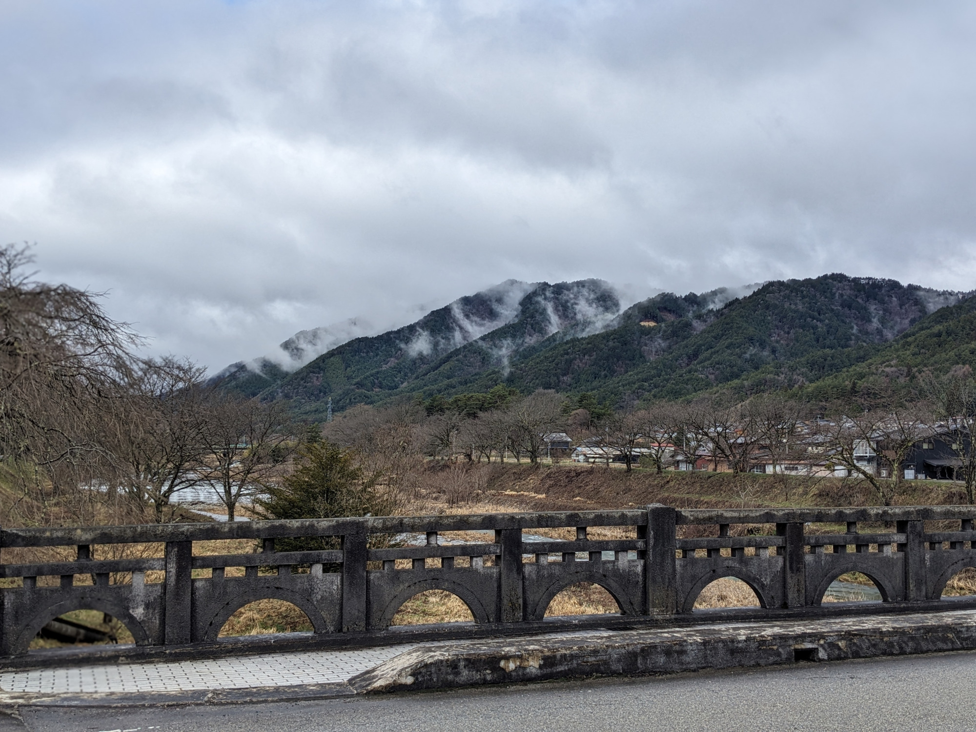 宮川河畔の山桜も待機中