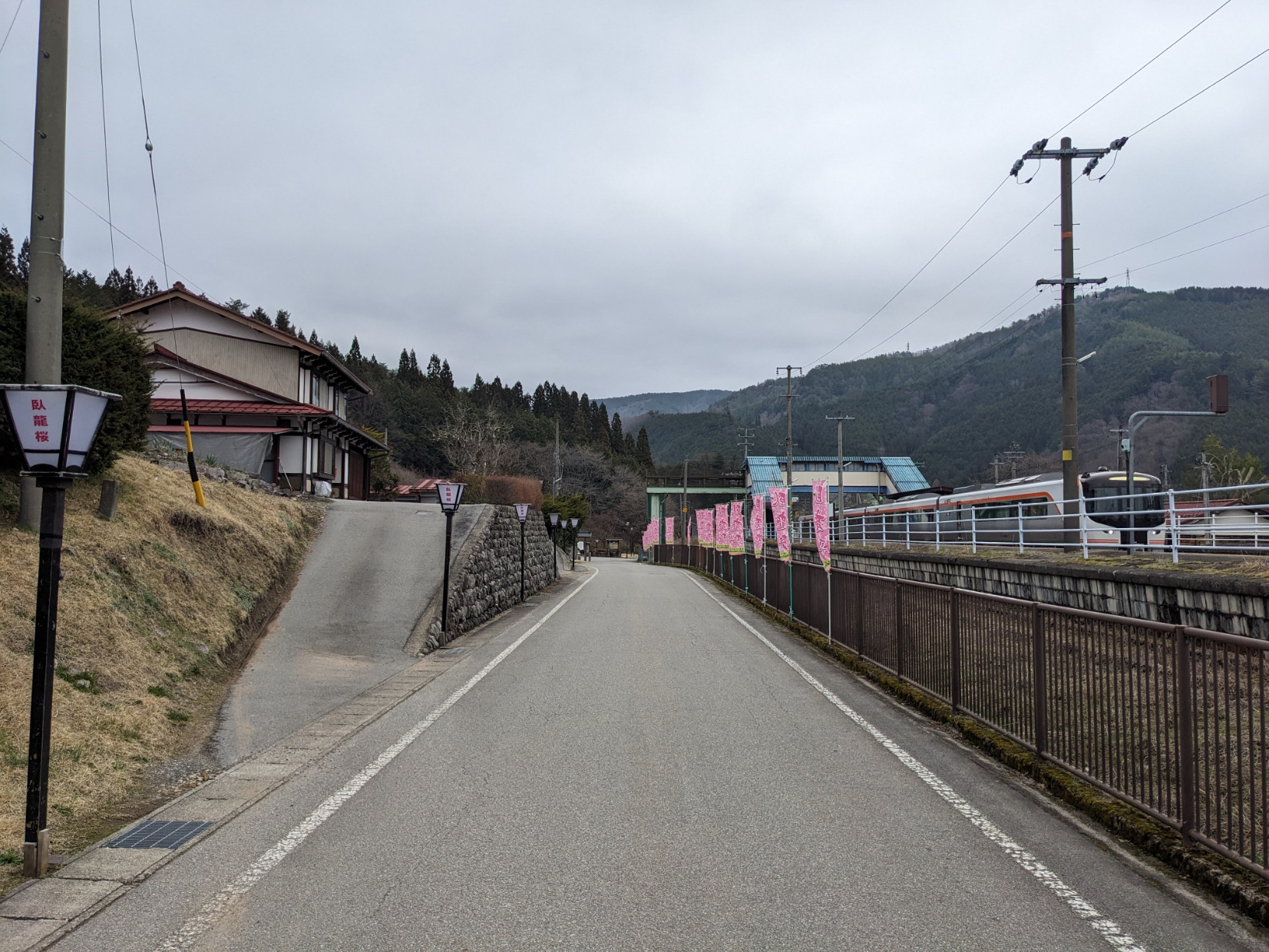 満開になると、ひだ号も減速します