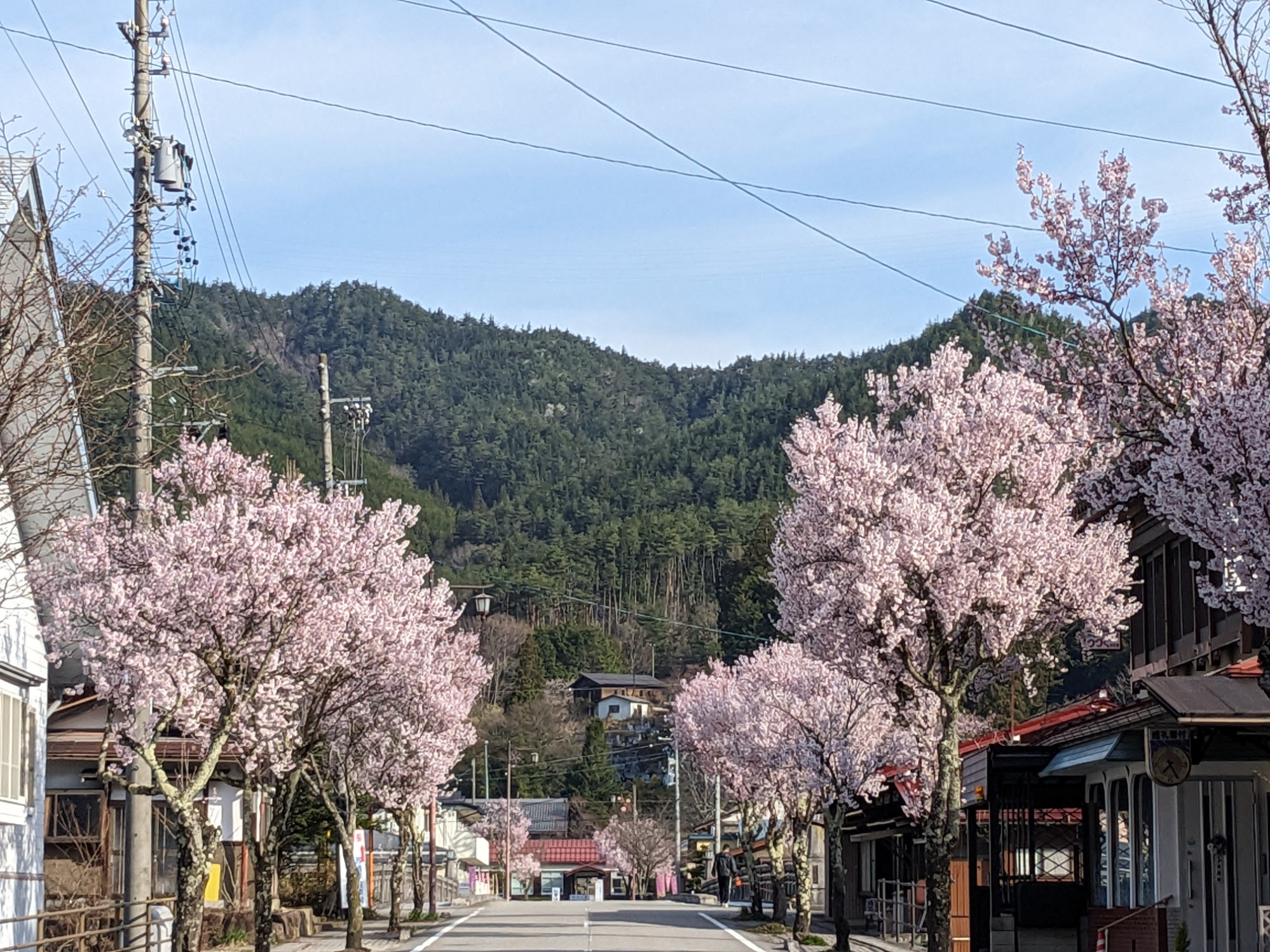 皆様をお迎えする駅前通りは 既にモコモコ状態