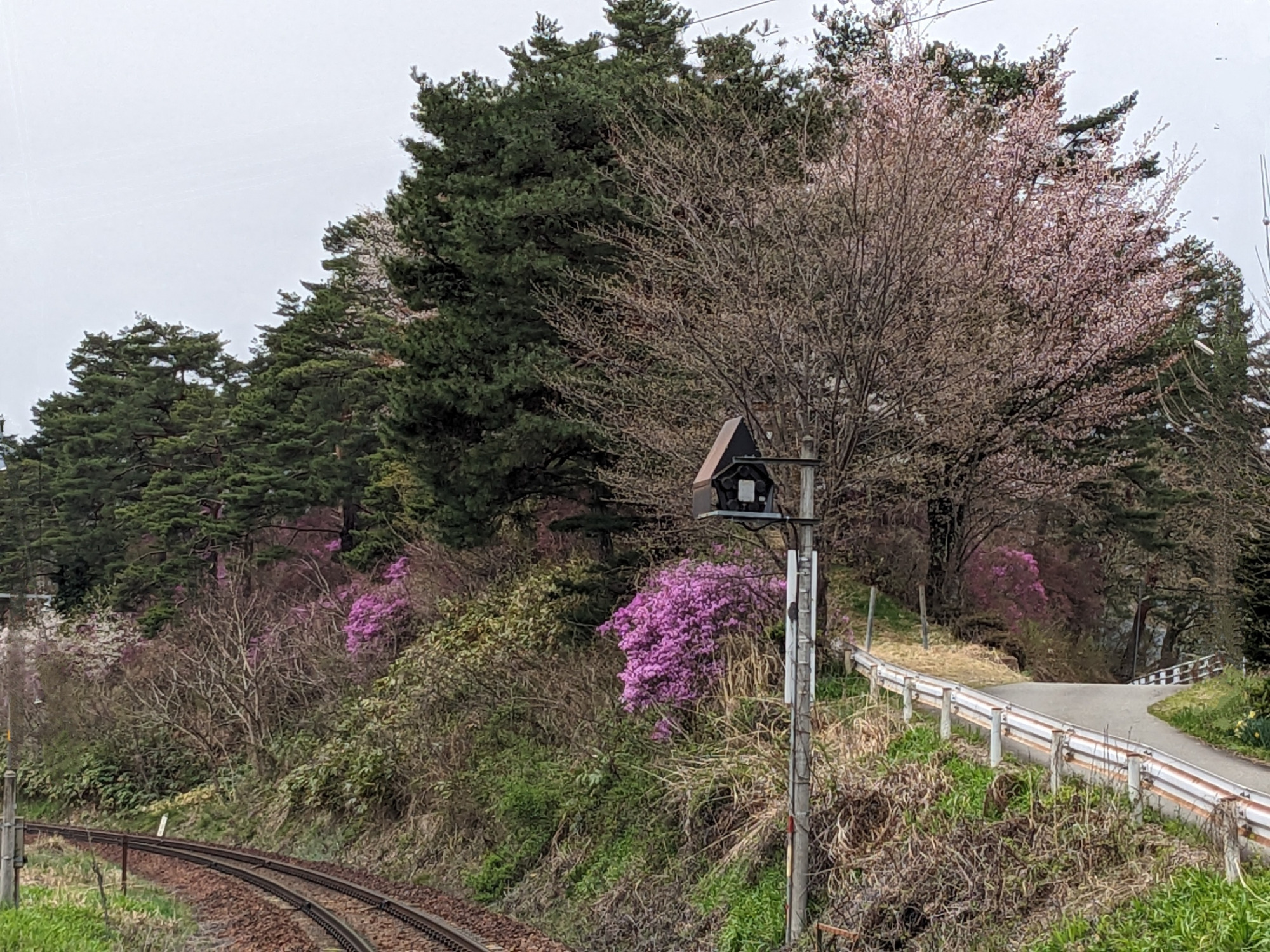 5月2日 水無神社ご巡幸の頃 このお旅山のつつじが満開に