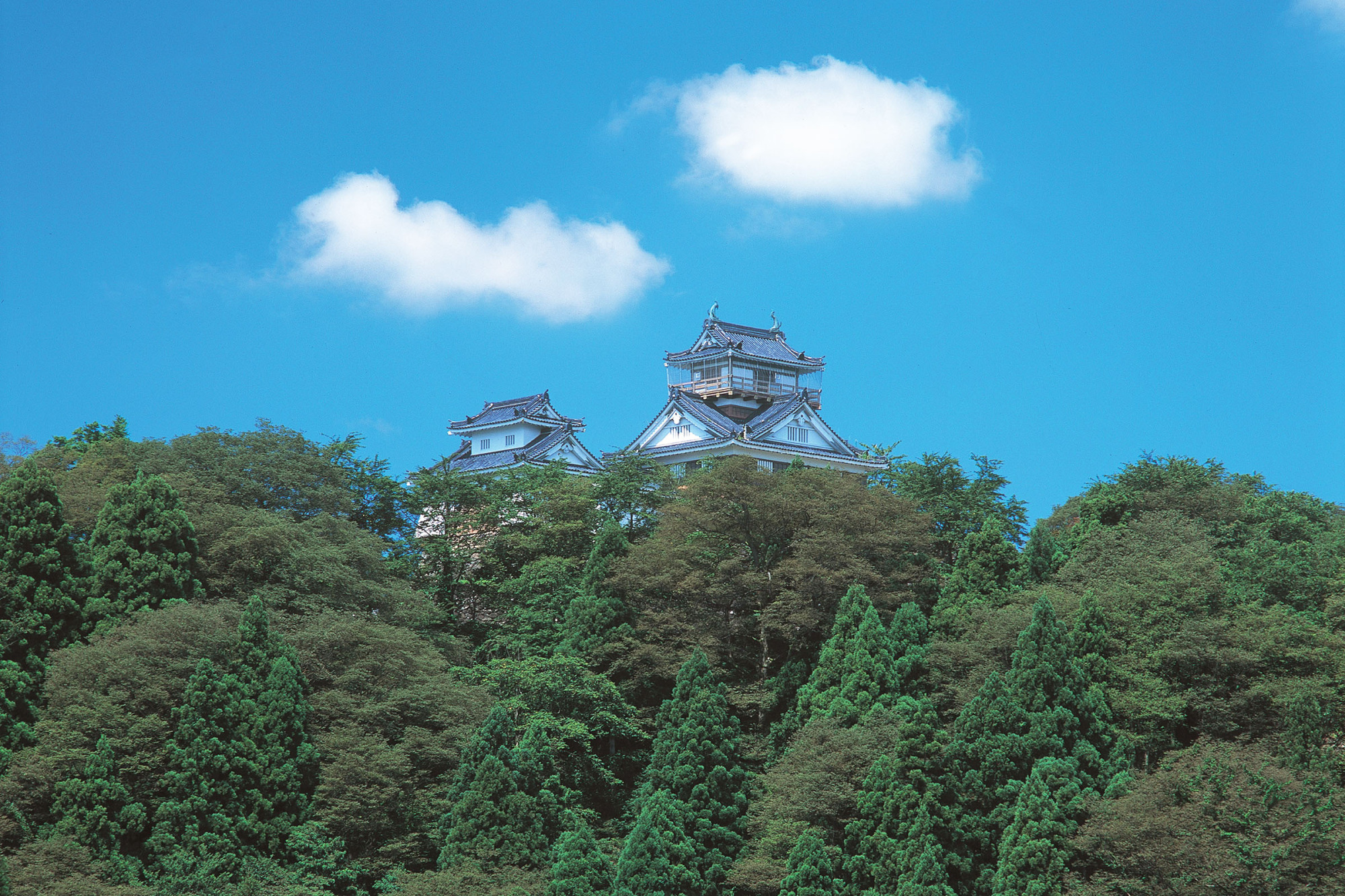 越前大野城（福井県大野市）