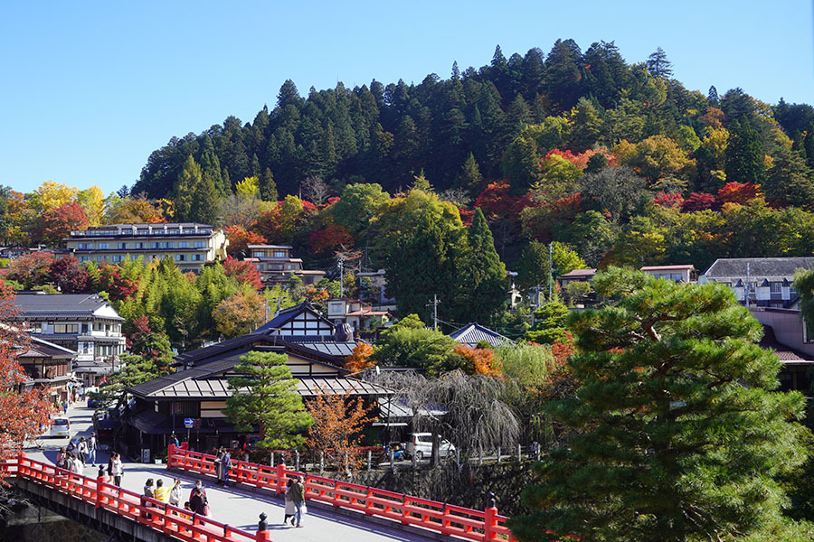 中橋と城山（高山城跡）