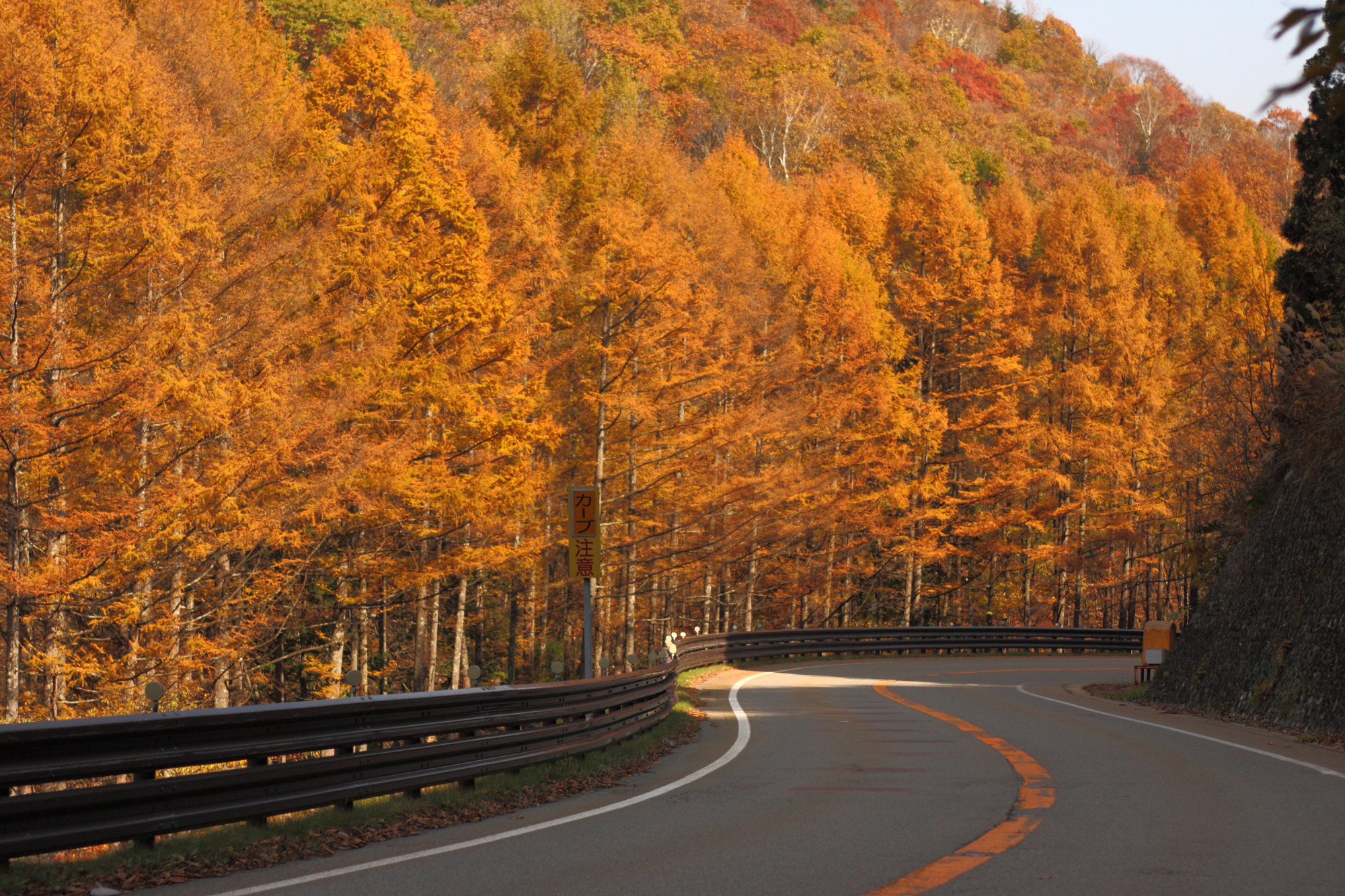 紅葉のせせらぎ街道