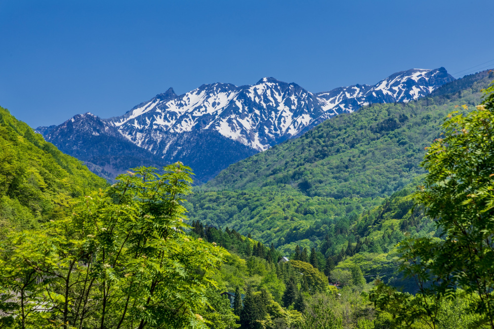 【保存版】はじめての飛騨高山~定番から穴場まで、気になるスポットが満載!アクセスや周辺情報など、高山市への旅行を徹底サポートします!~|特集 ...
