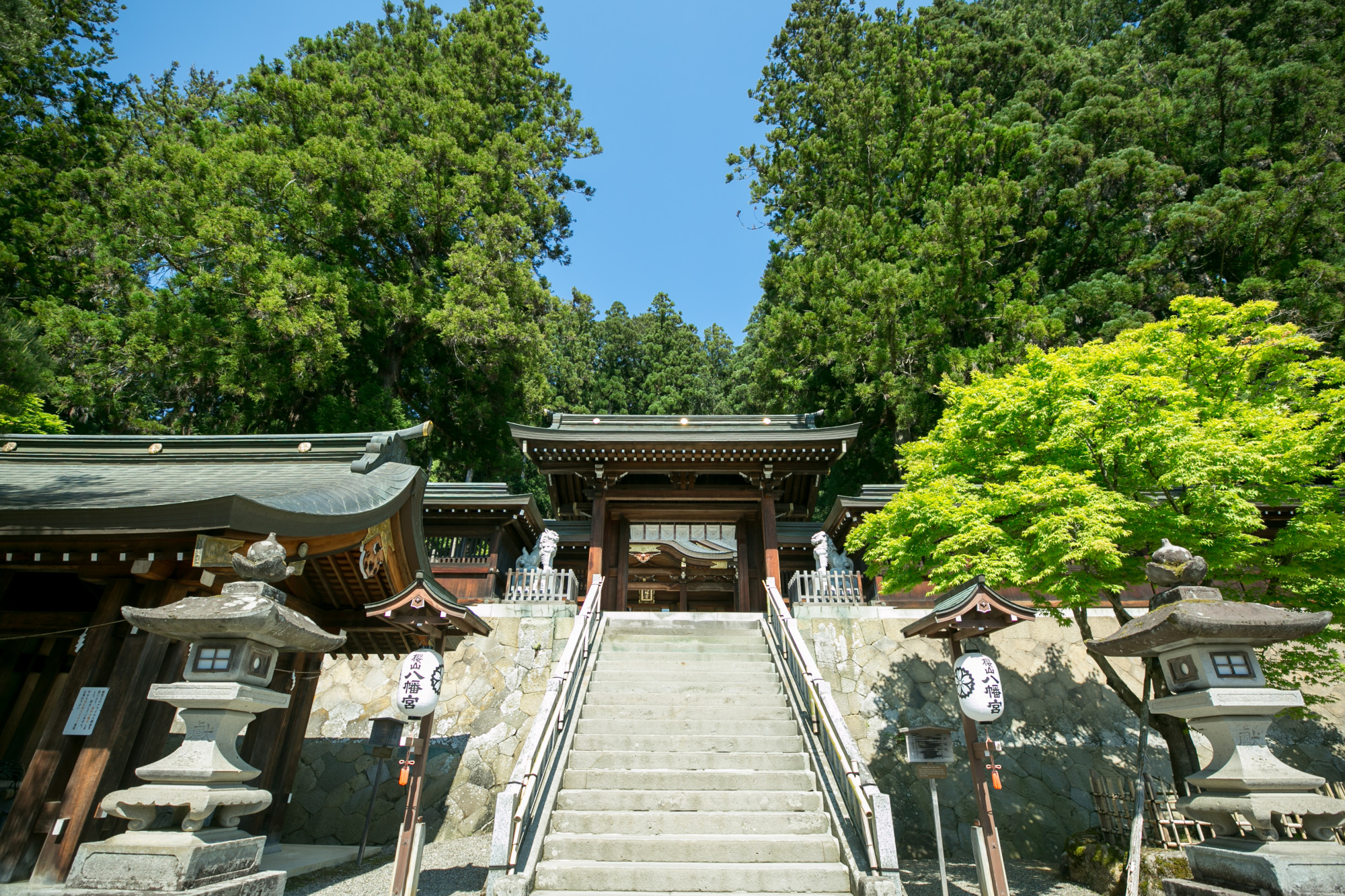 櫻山八幡宮