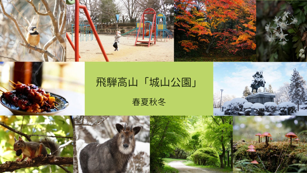 飛騨高山「城山公園」で四季の景色を味わう森林浴＆ピクニック