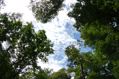 美景と美味と侘びと寂び『高山市国府町宇津江地区』大切なことを感じなおす旅