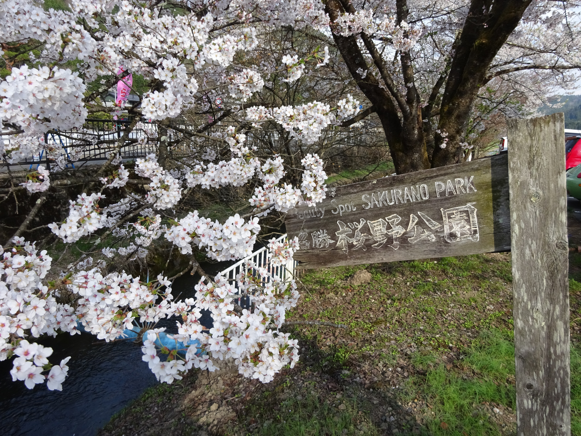 桜野公園の入口にある看板