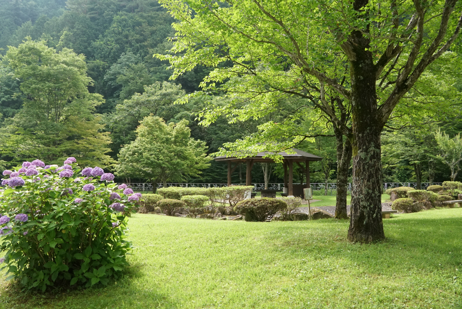 芝生には木陰や東屋もあります