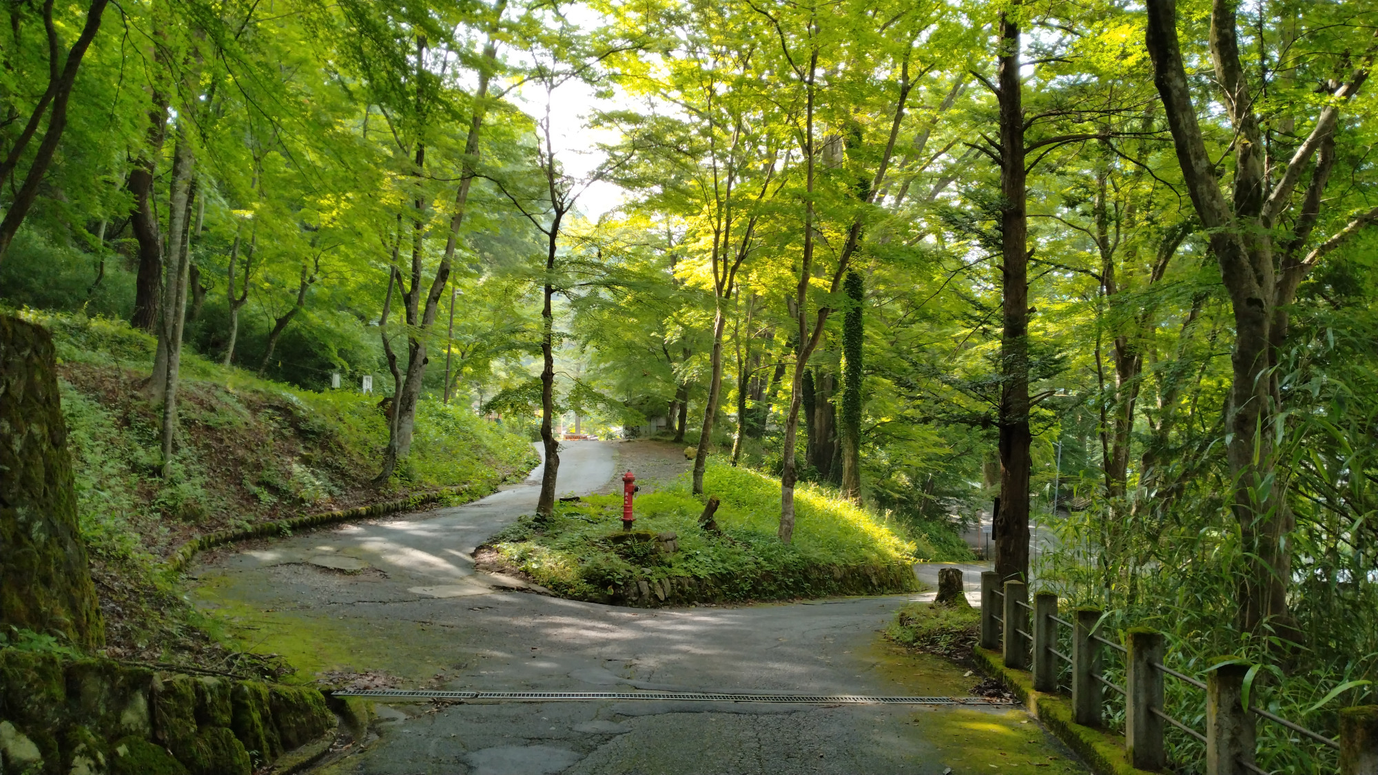 境内から、写真左に進むと山王児童公園です