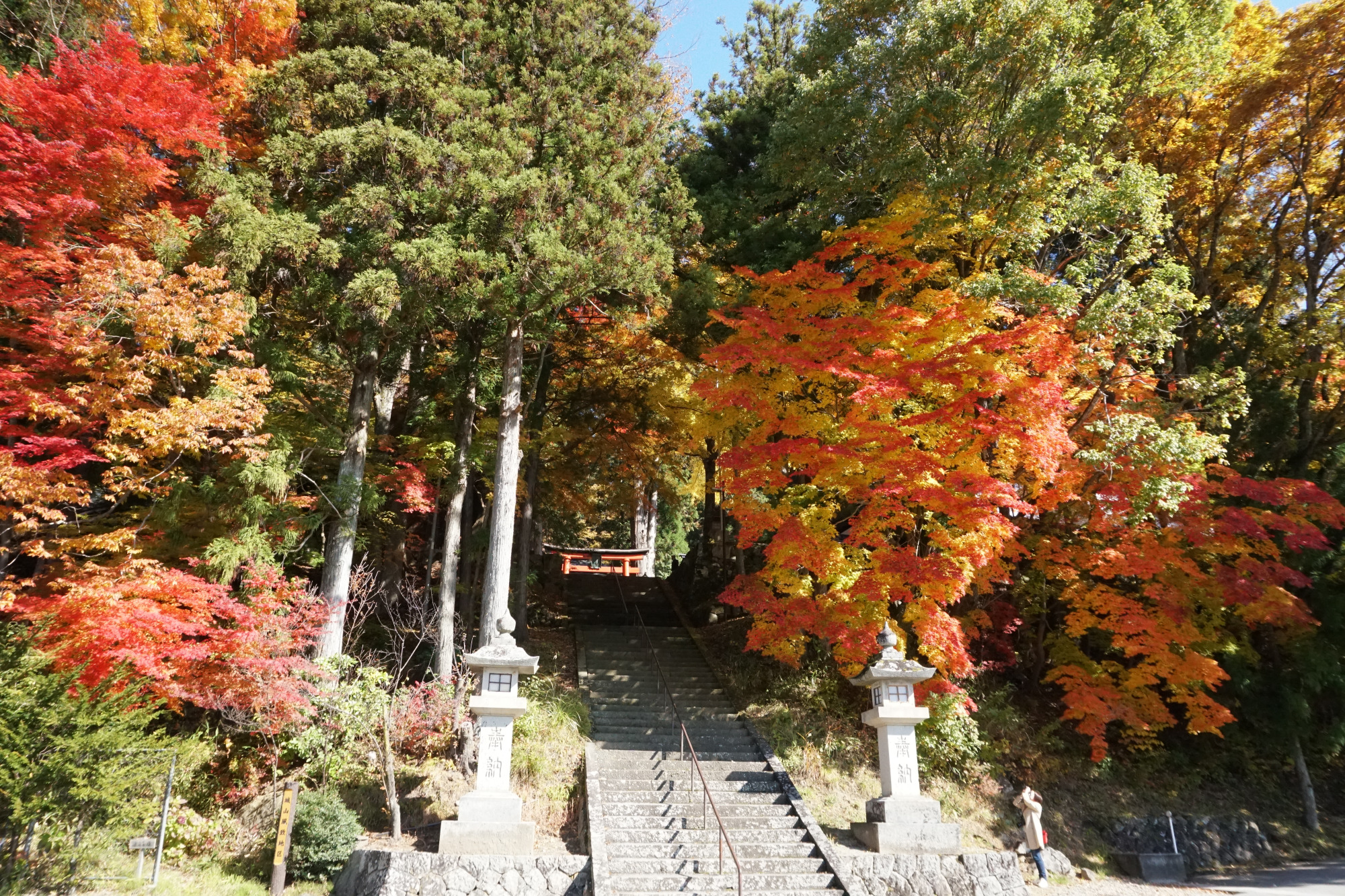 日枝神社の紅葉3