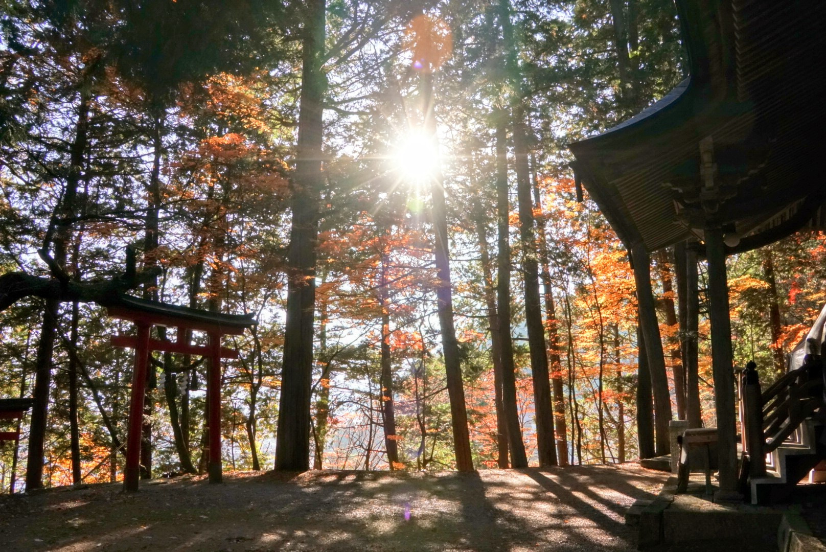 管公廟と鳥居と紅葉