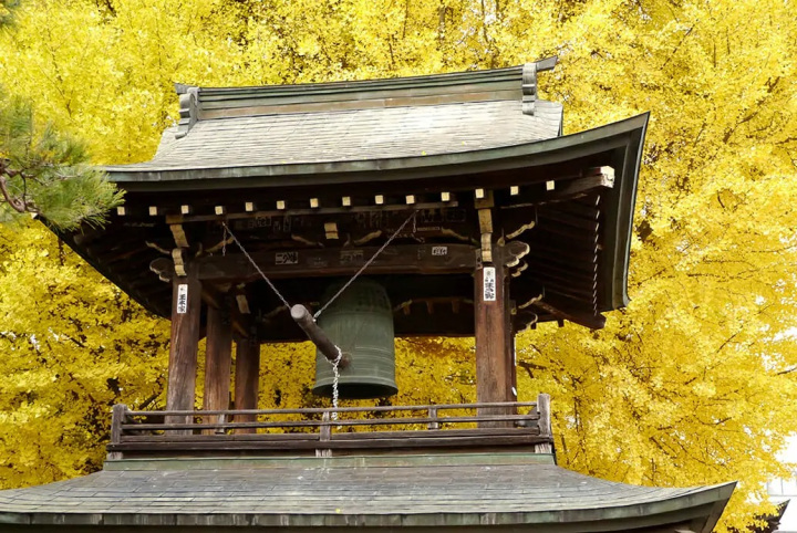 秋におすすめ！飛騨高山の紅葉の名所を徒歩でまわるモデルコース（3時間）