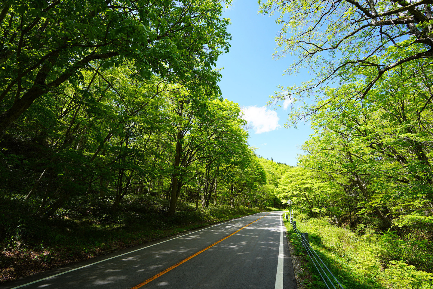 せせらぎ街道