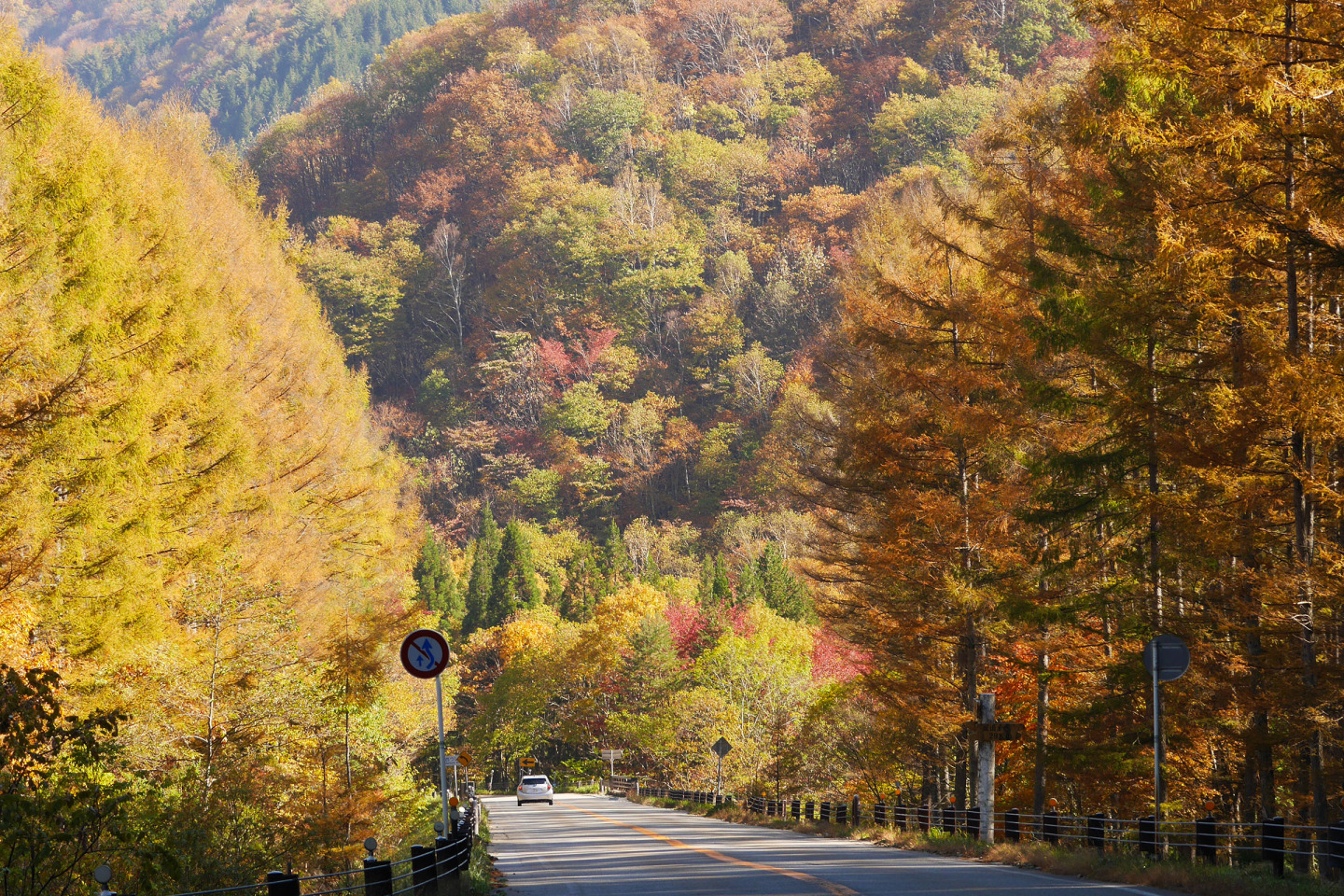 せせらぎ街道