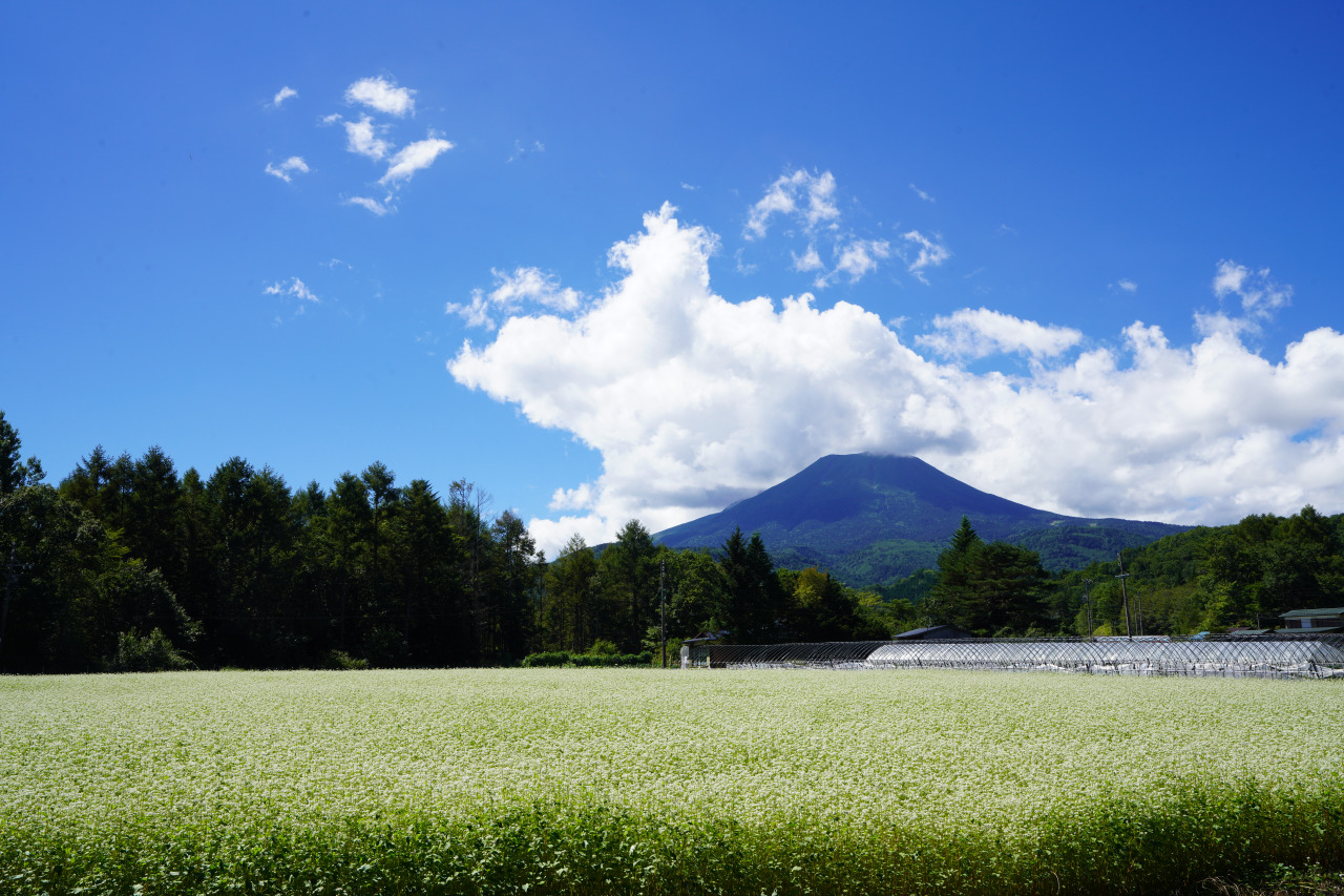 飛騨高根へようこそ