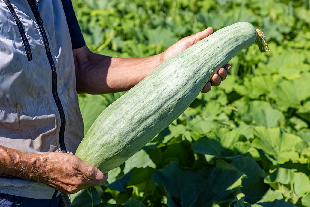 丹生川町ならではのグルメとお土産