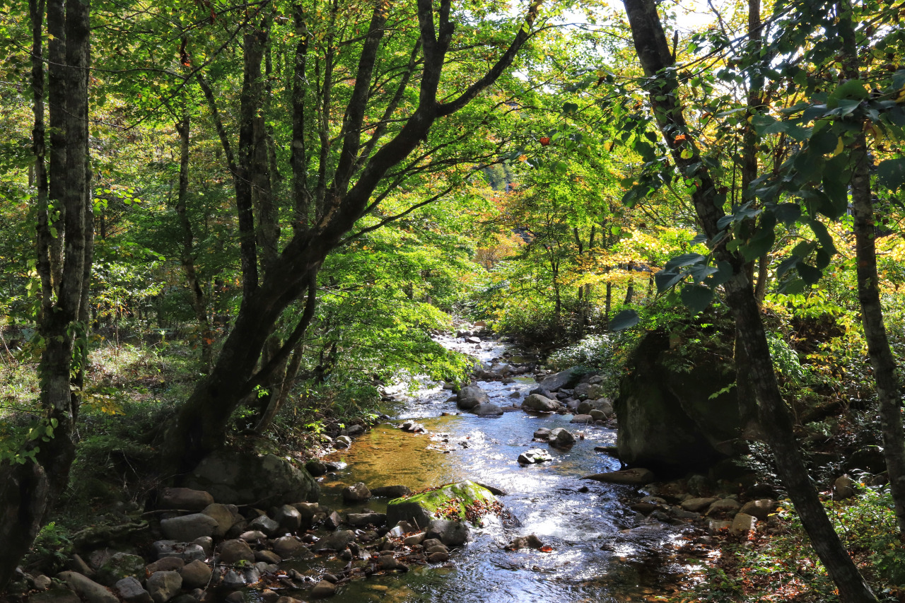 ひだ清見の歩き方