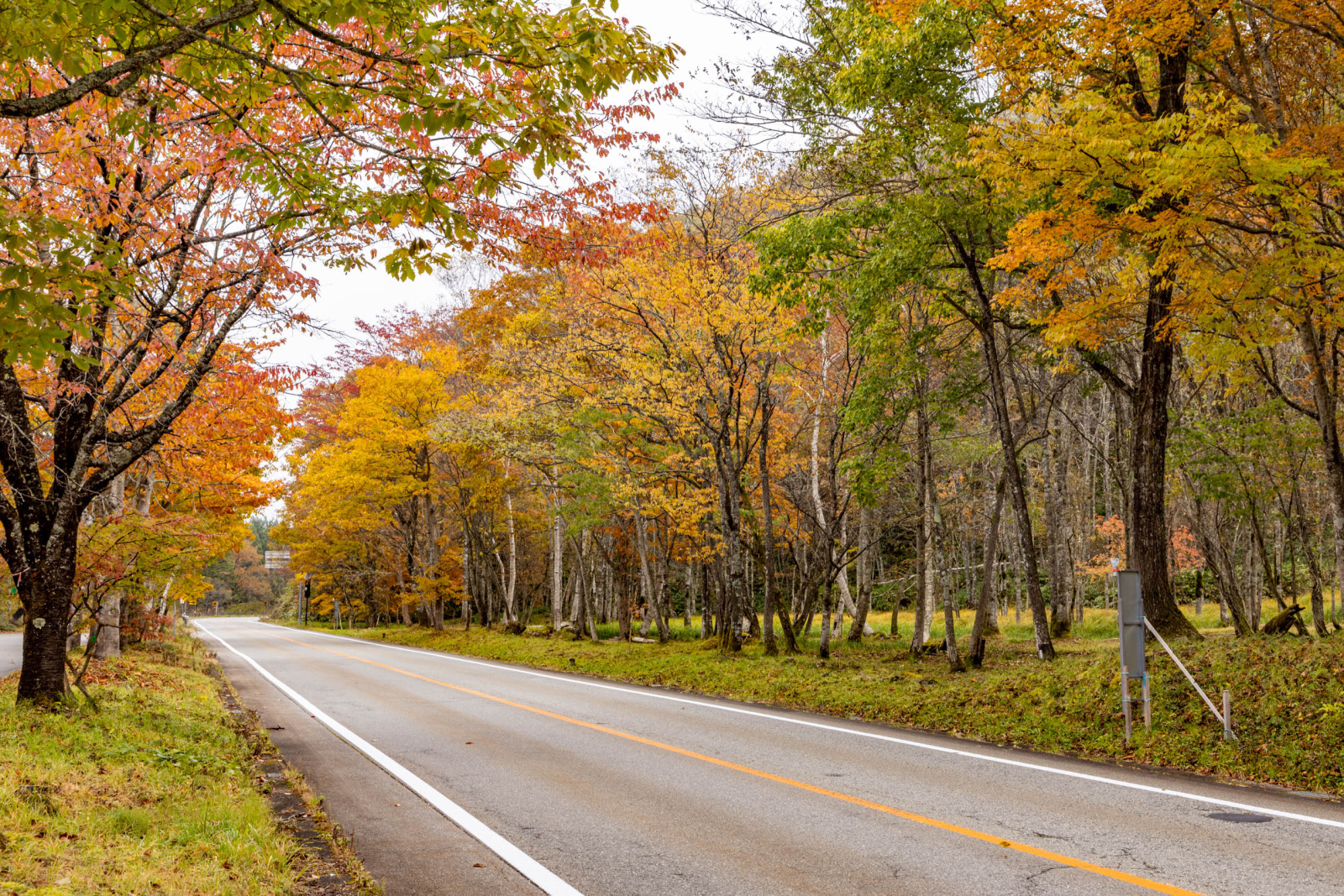色づくせせらぎ街道