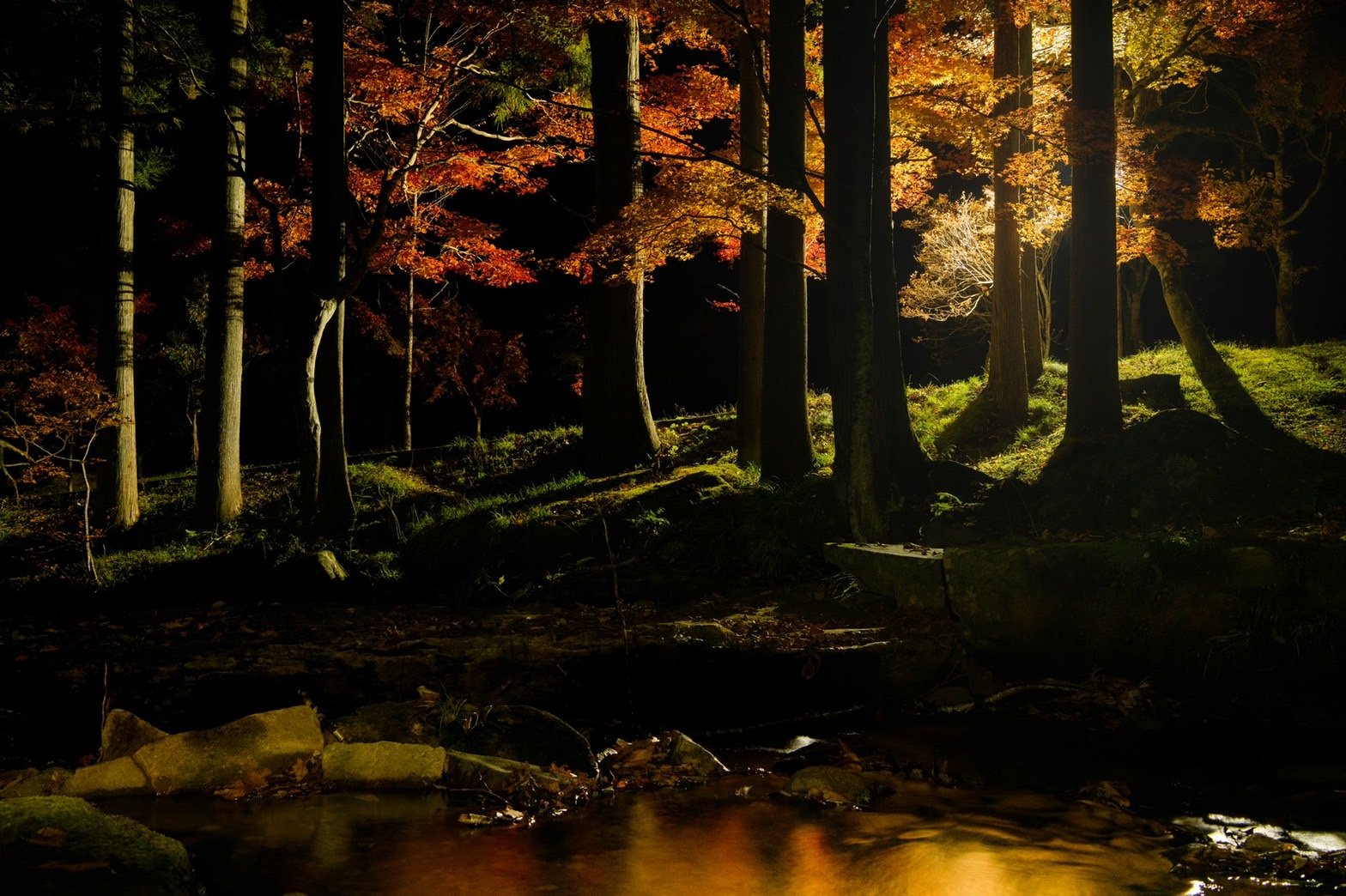 ひそやかに訪れる秋