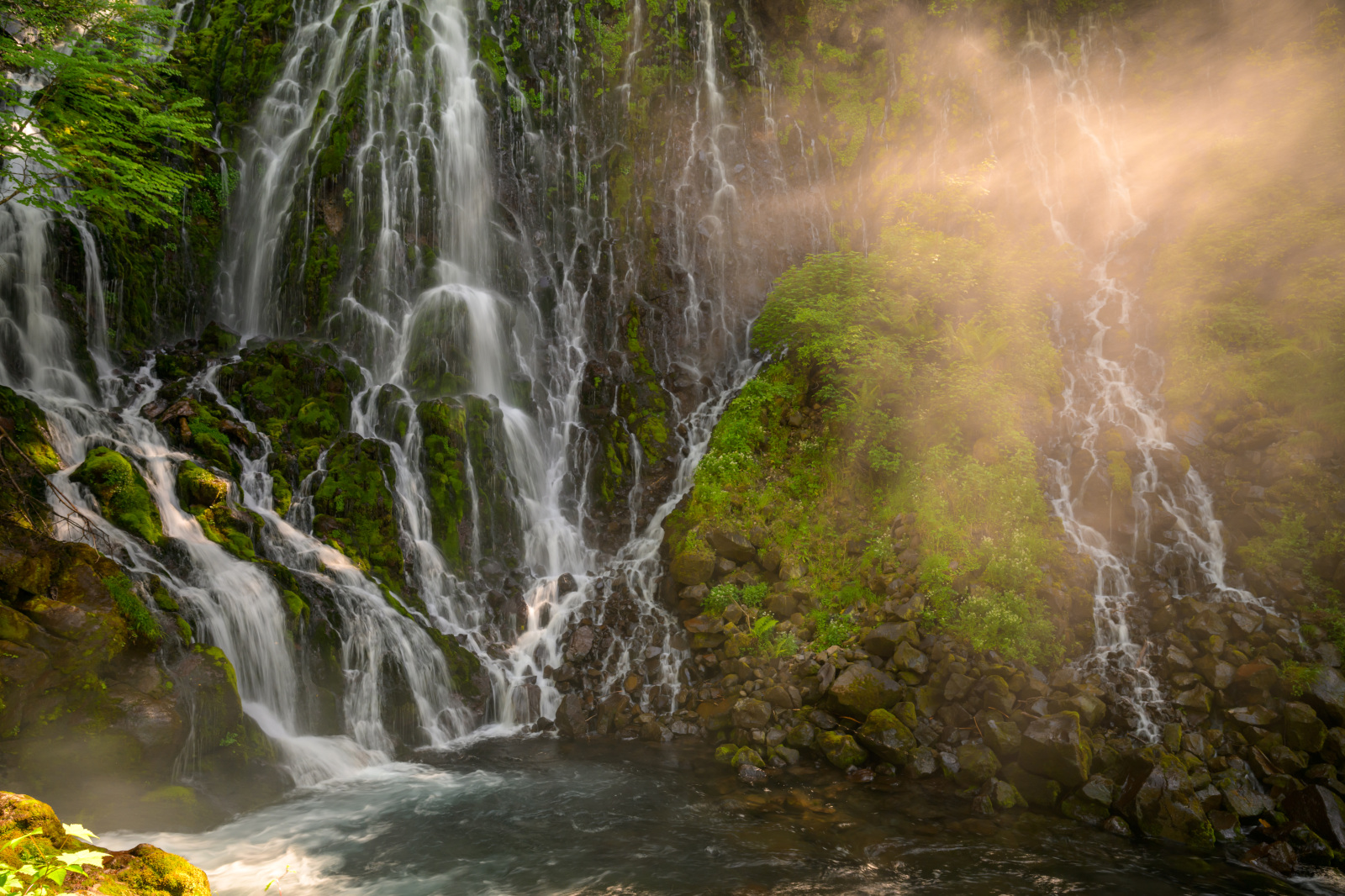 神秘の森 乗鞍山麓五色ヶ原の森