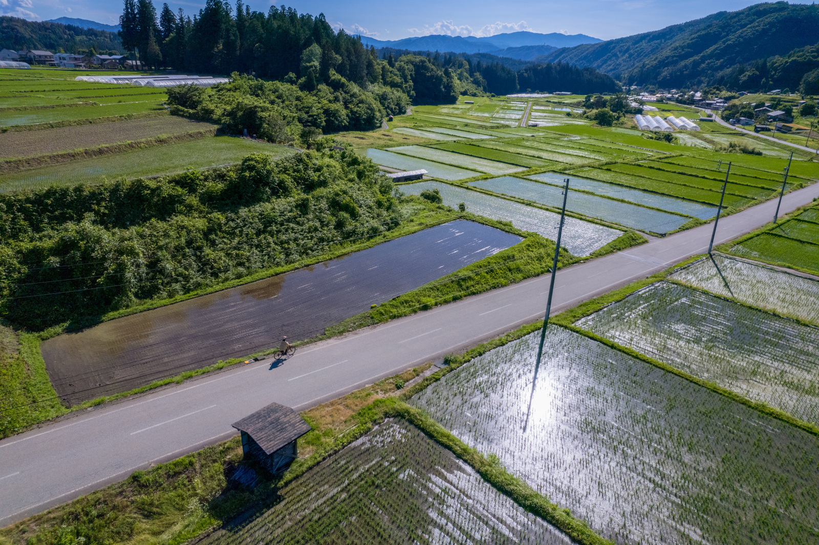 懐かしい田園の風景をサイクリングで楽しむ